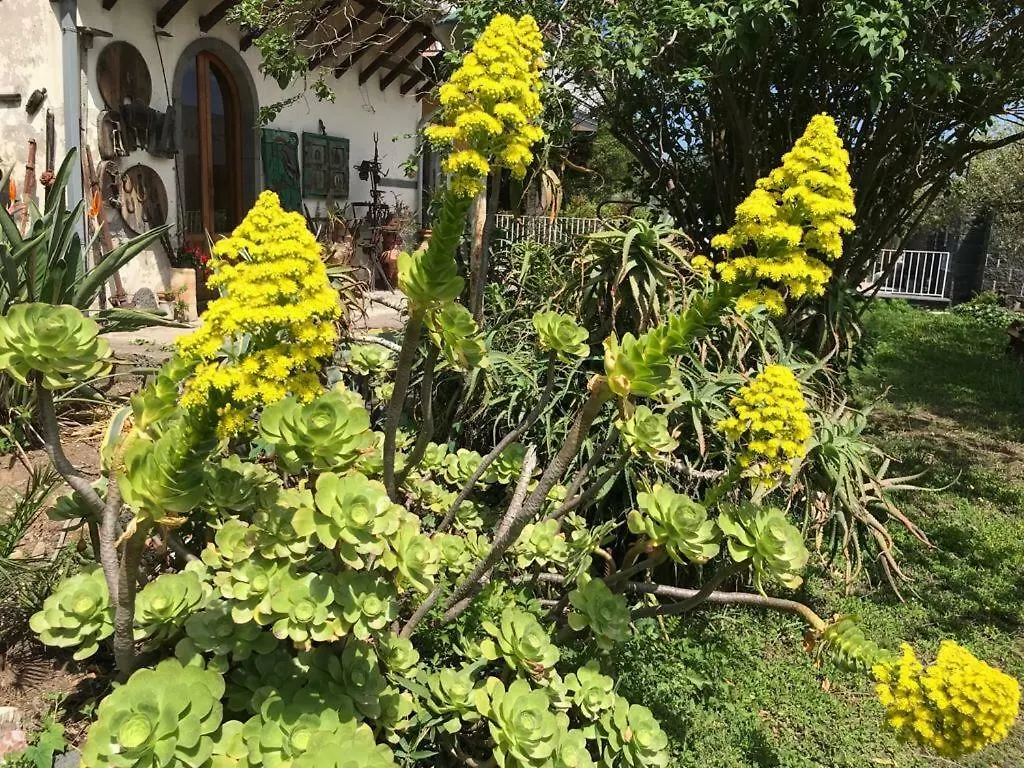 Gasthof Hotel La Finestra Sull'Etna Motta SantʼAnastasia Italien